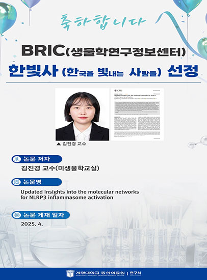김진경 교수