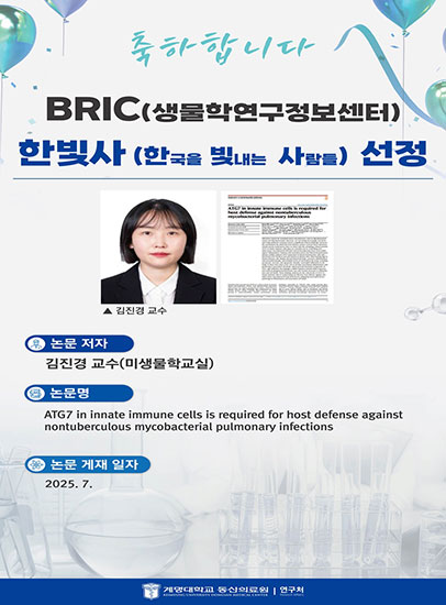 김진경 교수